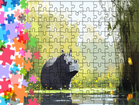 Puzzle tradycyjne Zwierzęta - Hipopotam