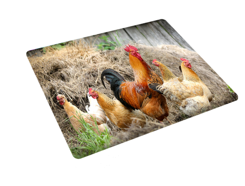 Podkładka pod myszkę Kury na Arena.pl