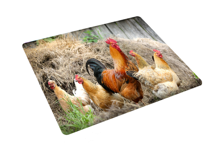 Podkładka pod myszkę Kury zdjęcie 3