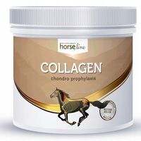 HorseLinePro COLLAGEN 300g KOLAGEN DLA KONI STAWY KOPYTA URAZY W PROSZKU