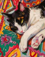 product-compare-59407755