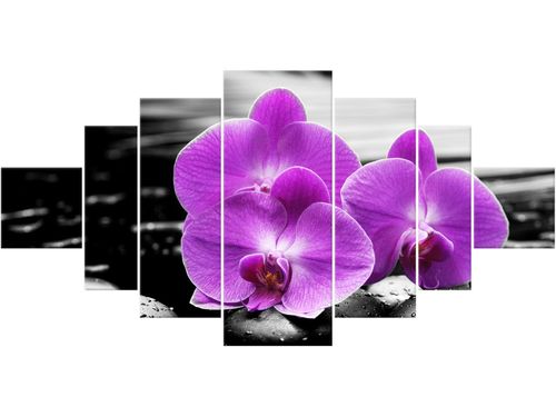 Obraz drukowany płótno 7 elementów 200x100 GRATIS na Arena.pl