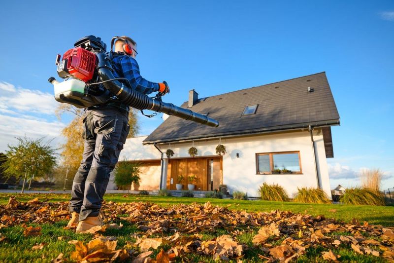 CEDRUS DM05 PRO PROFESJONALNY ODKURZACZ  DMUCHAWA SPALINOWA OGRODOWA DO LIŚCI - OFICJALNY DYSTRYBUTOR - AUTORYZOWANY DEALER CEDRUS zdjęcie 28