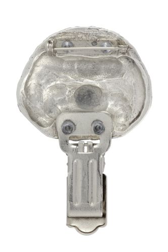 Bichon Frise - klips - 268 na Arena.pl