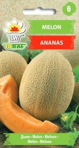 Melon Ananas nasiona 1 g na Arena.pl