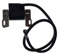 CEWKA BRIGGS B&S 398811 395492 398265 298968