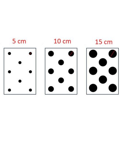 Szablon na ścianę Polka Dot na Arena.pl