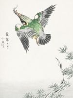 product-compare-59602700