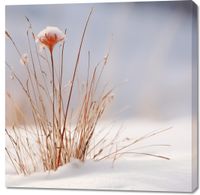 Obraz 100x100cm Zima w Detalach