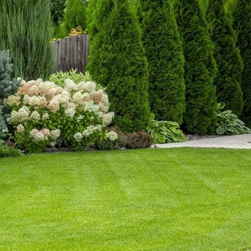 Yara Mila Complex 25kg Nawóz wieloskładnikowy YARA granulat Nawóz do na Arena.pl