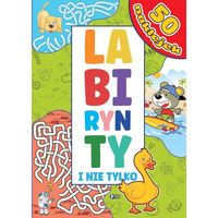 labirynty i nie tylko zagadki łamigłówki dla dzieci