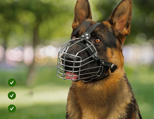 Kaganiec metalowy druciany dla psa BRONZEDOG regulowany L średni-duży na Arena.pl