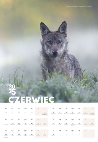 Kalendarz 2025 Bieszczady na Arena.pl