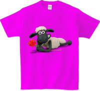 Koszulka T-shirt Baranek Shaun