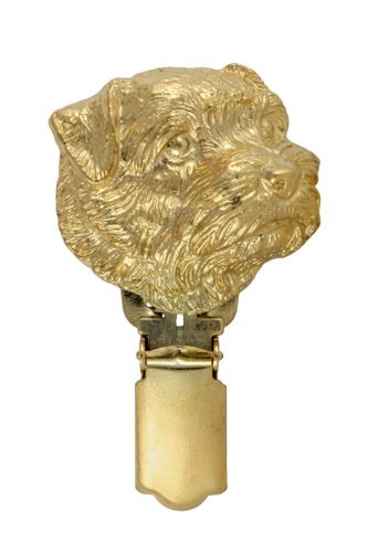 Norfolk Terrier - klips - 1048 na Arena.pl