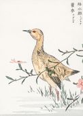 Plakat 13x18cm Redshank, Kashu Japoński Vintage do Salonu