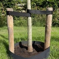 taśma elastyczna do wiązania roślin 30mm/60m