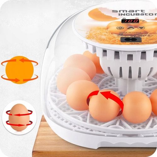 INKUBATOR DO JAJ AUTOMATYCZNY (12 JAJ) WYLĘGARKA KLUJNIK Z OBRACANIEM 35 W na Arena.pl