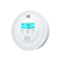 Carbon Monoxide Detector LCD Carbon Monoxide Detector LCD Wireless Detector
