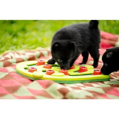 Nina Ottosson Cat Buggin' Out Puzzle & Play na Arena.pl