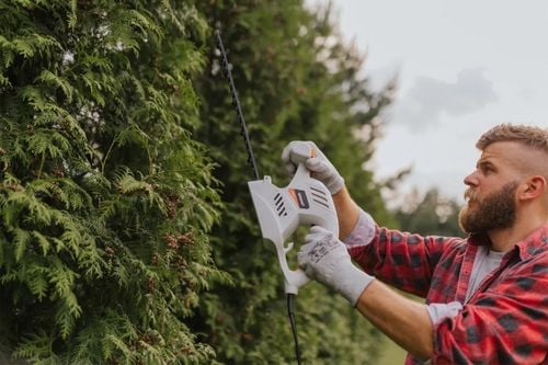 nożyce do żywopłotu 2000w, ght41 - bp-ght41 na Arena.pl