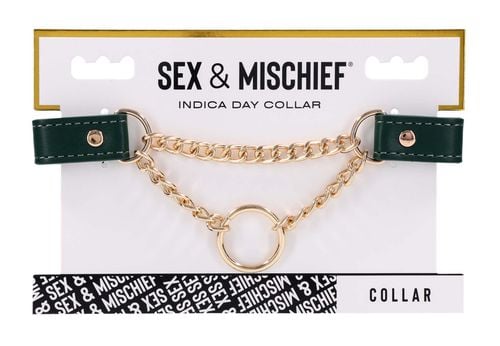 Day Collar na Arena.pl