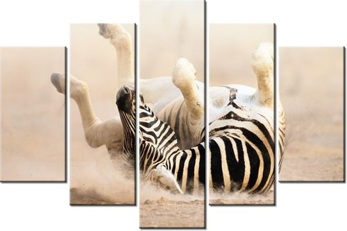 100CM 150CM OBRAZ 5 ELEM ZEBRA ŚCIENNY na Arena.pl