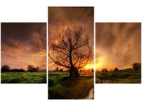 90X60CM OBRAZ ROMANTYCZNY SPACER TRZY OBRAZY