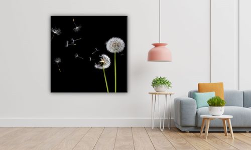 OBRAZ NA PŁÓTNIE 015 Dmuchawce 60x60cm na Arena.pl