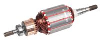 ROTOR SILNIKA CEDRUS ROZDRABNIACZ CEDRE03 300284
