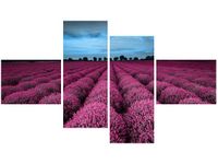 OBRAZ LAWENDOWY NCUSKI KRAJOBRAZ