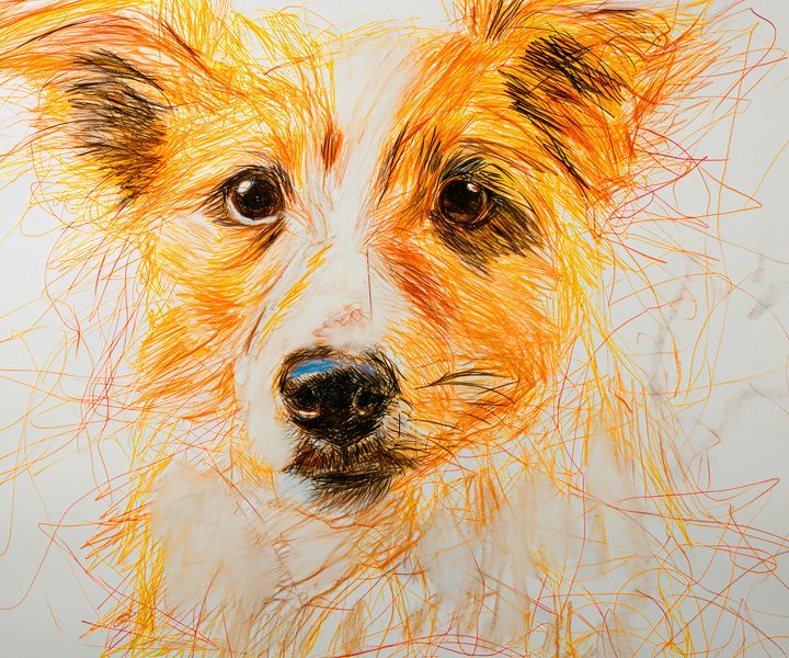 Plakat 60x50cm Uroczy Gość zdjęcie 1