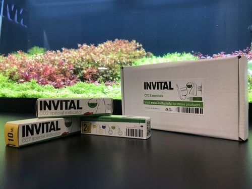 Zestaw CO2 Standard z wył. nocnym 5l z akcesoriami na Arena.pl