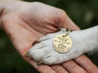 Zawieszka z kodem QR umożliwiającym szybką identyfikację psa