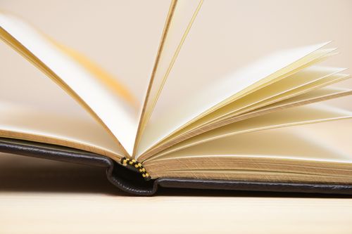 Mastif Francuski - notes - 3468 na Arena.pl