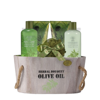 Aurora Zestaw prezentowy 5 produktów - Oliwka