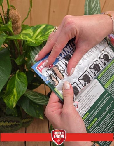 SANIUM PIN 2w1 Pałeczki Owadobójcze + Nawozowe na Ziemiórki Tarczniki na Arena.pl