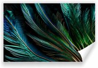 Fototapeta PREMIUM STRUKTURA ZMYWALANA NA WYMIAR pawie pióro błękit zieleń
