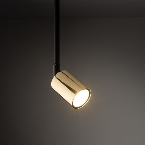 Pojedynczy reflektor szynowy 1-fazowy Tracer 4920 TK Lighting złoty na Arena.pl