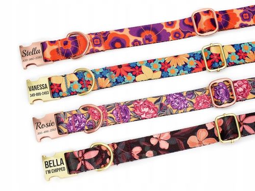 Obroża Dla Psa z Grawerem r. XL na Arena.pl