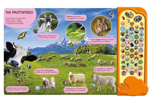 50 DŹWIĘKÓW NA WSI - ELŻBIETA KOROLKIEWICZ na Arena.pl