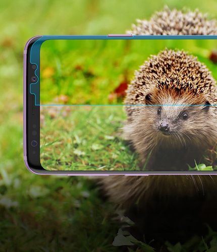 FOLIA RINGKE CAŁY EKRAN GALAXY S9 PLUS 3X DO ETUI na Arena.pl