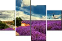 product-compare-58639234