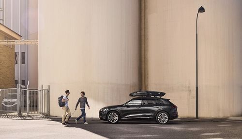 Bagażnik dachowy Box na dach Thule Vector ALPINE na Arena.pl