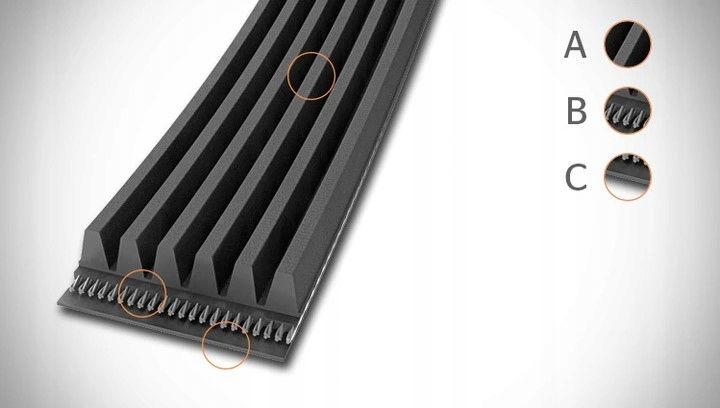 PASEK WIELOROWKOWY zdjęcie 12