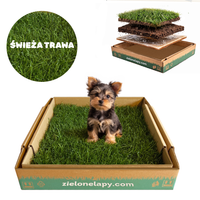 Kuweta dla psa z naturalnej trawy 50x50cm toaleta