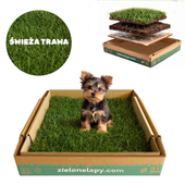 Kuweta dla psa z naturalnej trawy 50x50cm toaleta