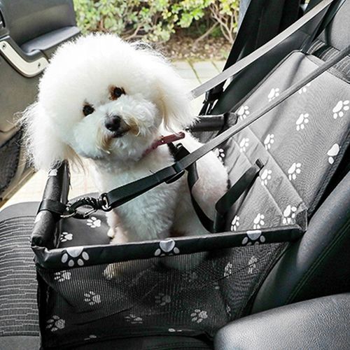 FOTELIK samochodowy dla PSA KOTA Duży TRANSPORTER do auta Na Siedzenie Mata na Arena.pl