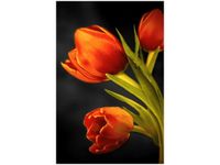 product-compare-58703079