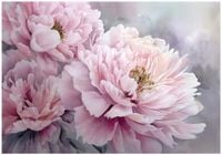 Fototapeta Na Flizelinie Do Sypialni Salonu Kwiaty 350x250